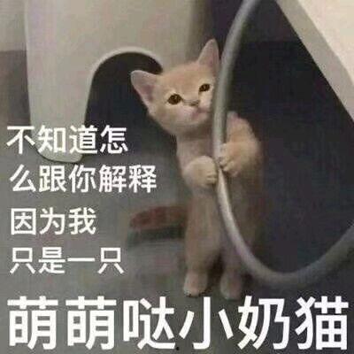 吃瓜老四,网络红人的崛起与影响力