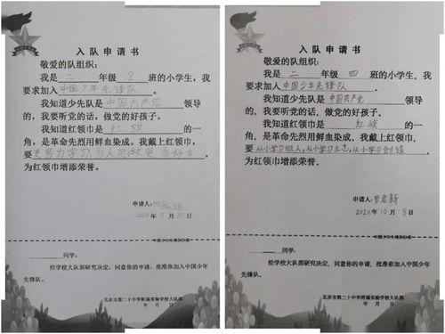 吃瓜群众的承诺书怎么写,守护网络文明，共建和谐社区