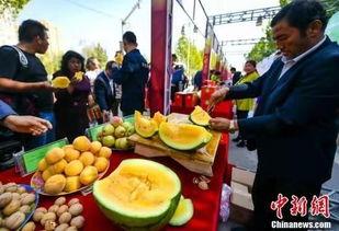 福建最新吃瓜,揭秘闽南美食背后的故事与传奇