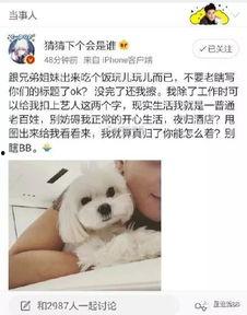 怼吃瓜的图,网络舆论场中的理性与偏见