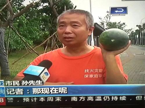 永定吃瓜群众事件,一场网络舆论的风暴与反思