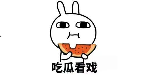带你吃瓜补全搞笑,笑料横生的欢乐时光