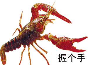 大瓜吃龙虾,龙虾狂欢，尽享美食盛宴