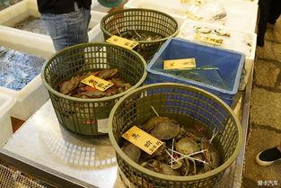 顺德吃瓜群,揭秘美食背后的趣味故事