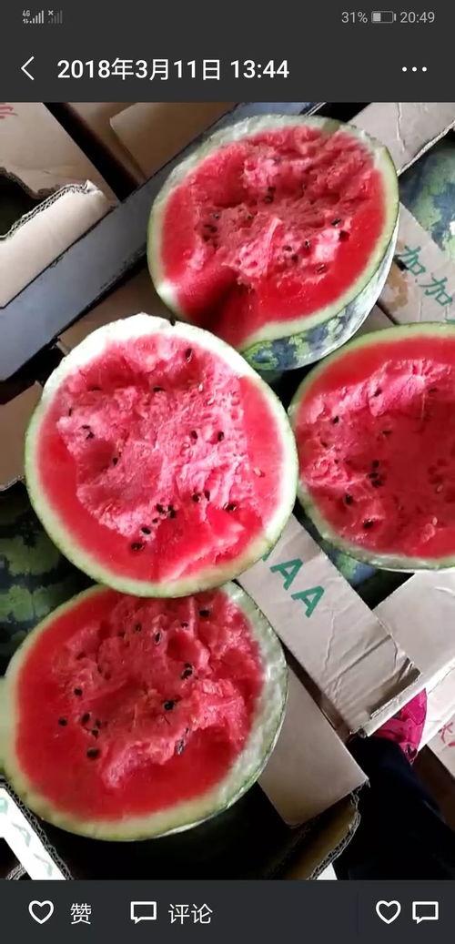 瓜哥邀你一起吃瓜